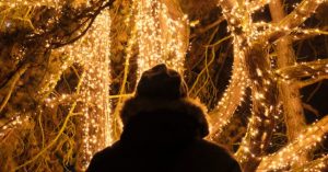 Luces del Real Jardín Botánico