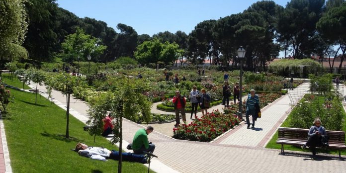 Horario del Parque del Oeste de Madrid y de su Rosaleda