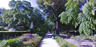 Jardín Botánico de Madrid, visitas guiadas