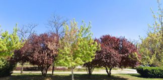 Parque en el Barrio de Las Musas