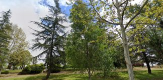 Parque Vicálvaro en Madrid