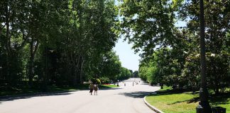 El Parque del Retiro tendrá en otoño 2020 pantallas y megafonía