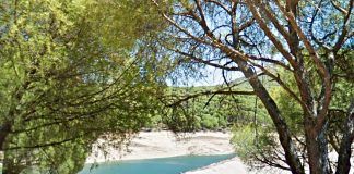 La Playa Virgen de la Nueva en Madrid recibe la Bandera Azul este 2020