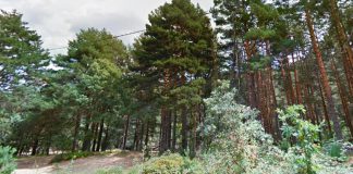 Ruta de senderismo fácil cerca de Madrid por la Presa del Pradillo