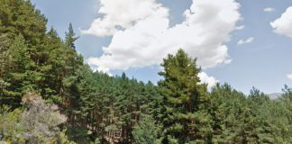 Sitios para visitar en Madrid naturaleza