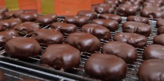 feria palmera morata tajuna 2021