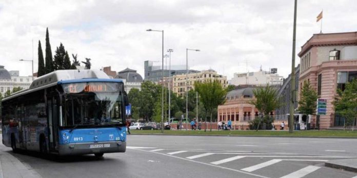 Bus