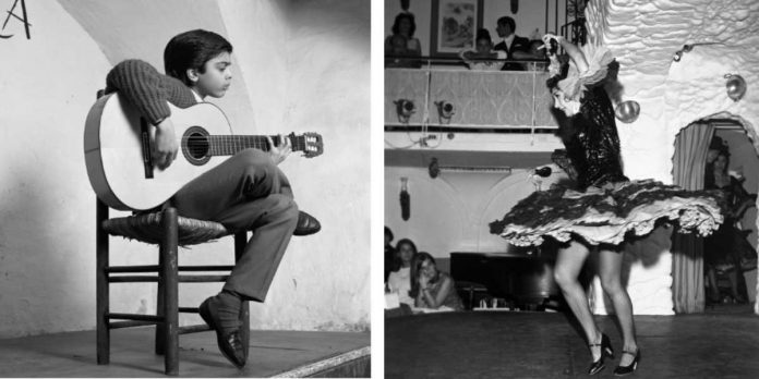 Flamenco Chipen