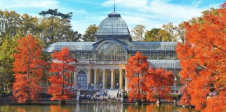 Planes para este fin de semana en Madrid: 9, 10 y 11 de enero de 2026