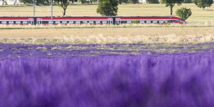 Renfe