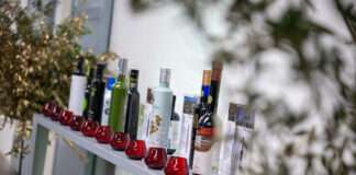 Los mejores aceites de oliva 2025 para regalar esta Navidad se presentan en Madrid: Lista del TOP 10 EVOOLEUM