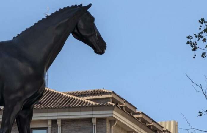 estatua ok